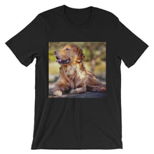 Dog t-shirt
