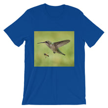 Hummingbird and Bee t-shirt