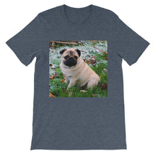 Pug t-shirt