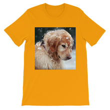 Dog t-shirt