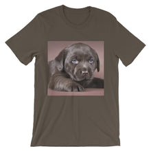 Puppy t-shirt