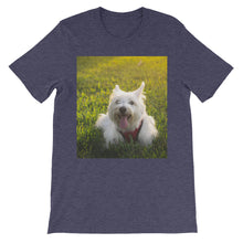 Dog t-shirt