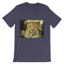 Leopard t-shirt