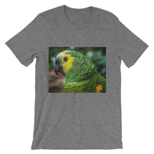 Macaw t-shirt