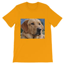 Dog t-shirt