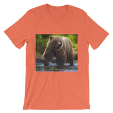 Bear t-shirt