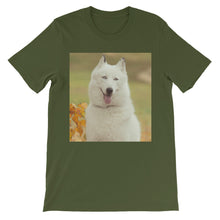 Dog t-shirt