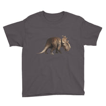 Dinosaur Youth Short Sleeve T-Shirt