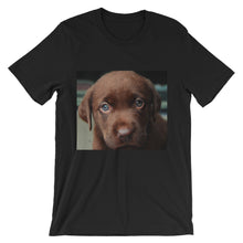 Puppy t-shirt