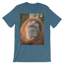 Endangered Species t-shirt