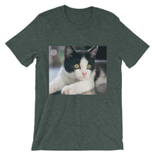 Kitten t-shirt