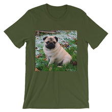 Pug t-shirt