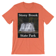 Stony Brook t-shirt