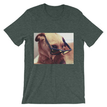 Dog with glasses t-shirt