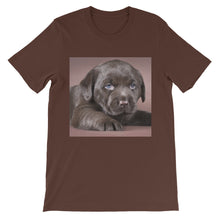 Puppy t-shirt