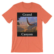 Grand Canyon t-shirt