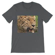 Leopard t-shirt