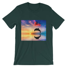 Dolphin t-shirt