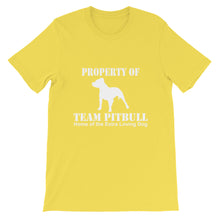 Property of Team Pitbull t-shirt