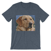 Dog t-shirt