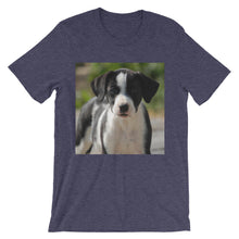 Dog t-shirt