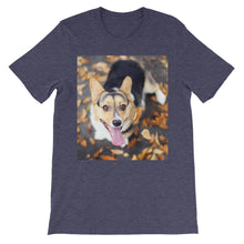Corgi t-shirt