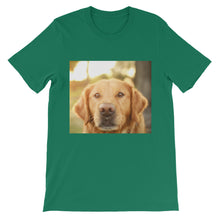 Dog t-shirt