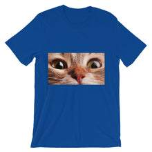 Cat t-shirt
