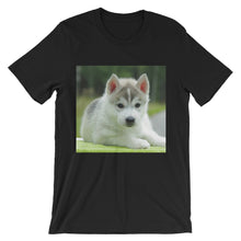 Puppy t-shirt
