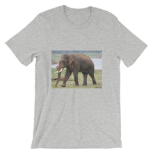 Endangered Species t-shirt