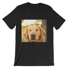 Dog t-shirt