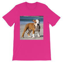 Dog t-shirt