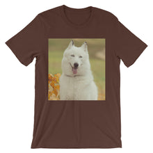 Dog t-shirt