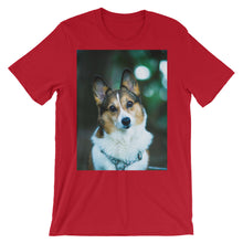 Corgi t-shirt