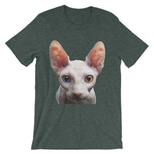 Cat t-shirt