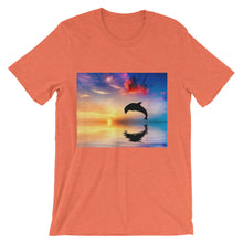 Dolphin t-shirt