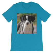 Dog t-shirt