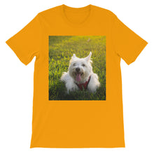 Dog t-shirt