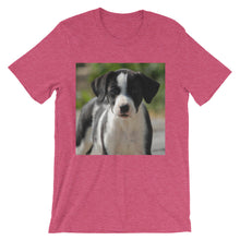 Dog t-shirt