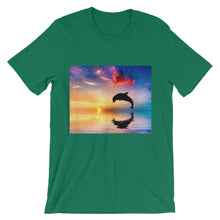 Dolphin t-shirt