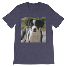 Dog t-shirt