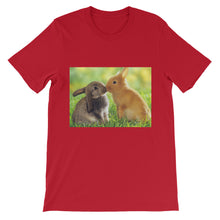 Rabbits t-shirt