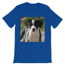 Dog t-shirt