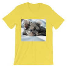 Yorkie Puppy t-shirt
