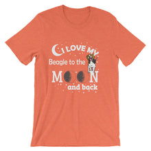 I Love My Beagle t-shirt