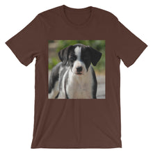 Dog t-shirt