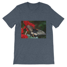 Butterfly t-shirt