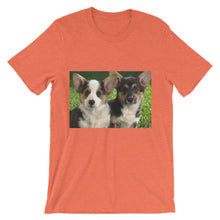 Corgis t-shirt