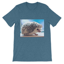 Hedgehog t-shirt