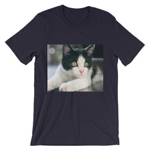 Kitten t-shirt